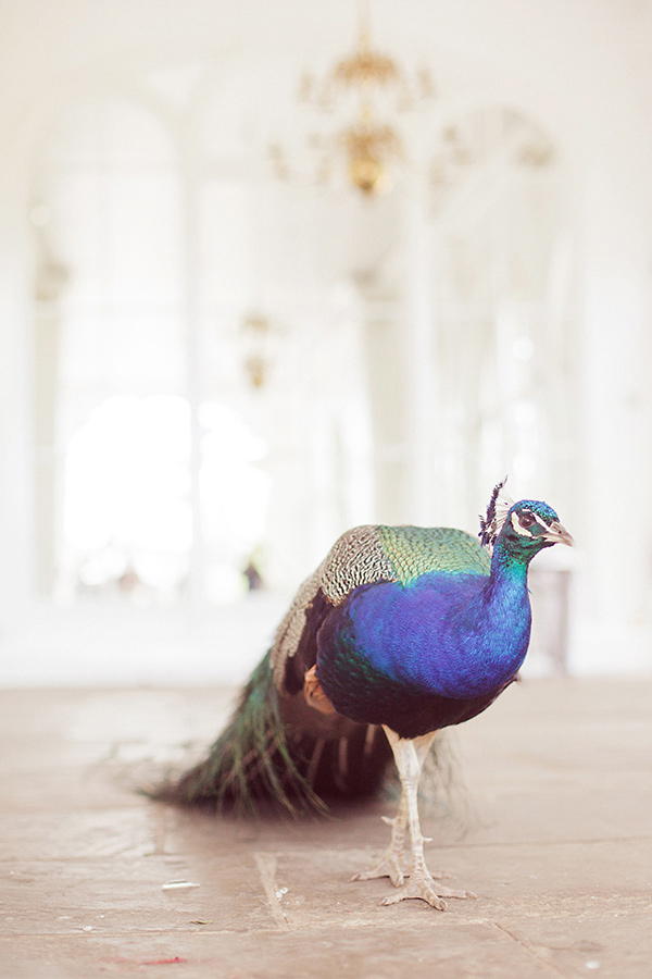 Editorial Wedding Photography inspired by The Orangery, Holland Park 15