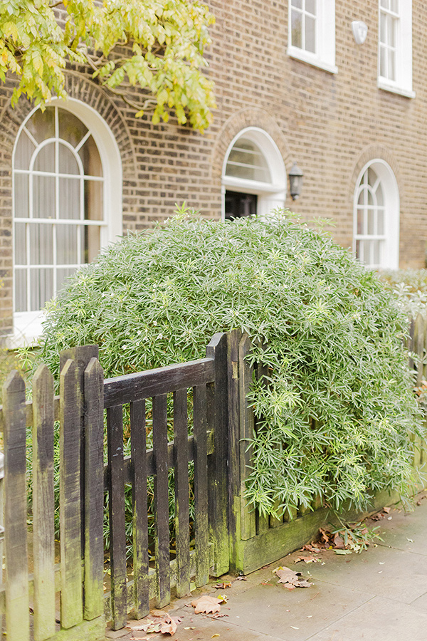 Engagement Photography in Islington, London 4